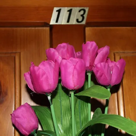 Pensjonat Casa Abascal 3*